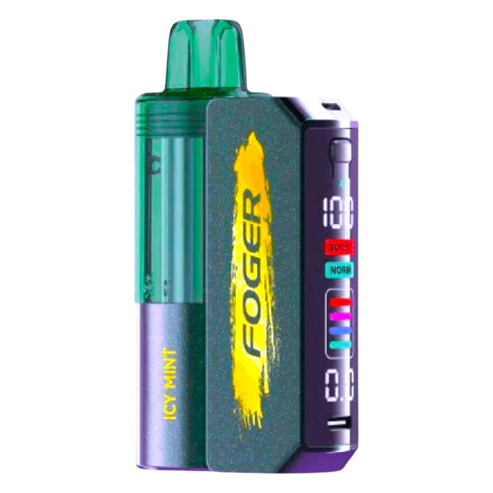 FOGER 30000PUFFS DISPOSABLE 5CT/BX