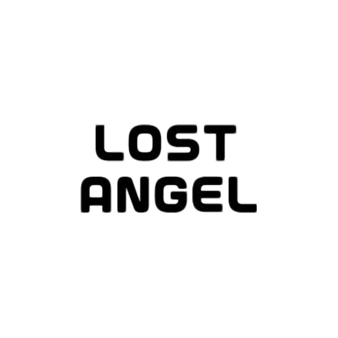 LOST ANGEL